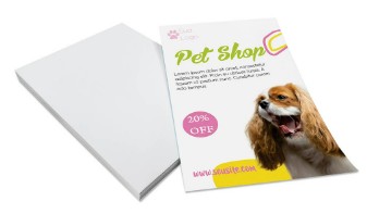 Panfletos 14x20 cm impressão 4x0 somente frente 1000 unidades